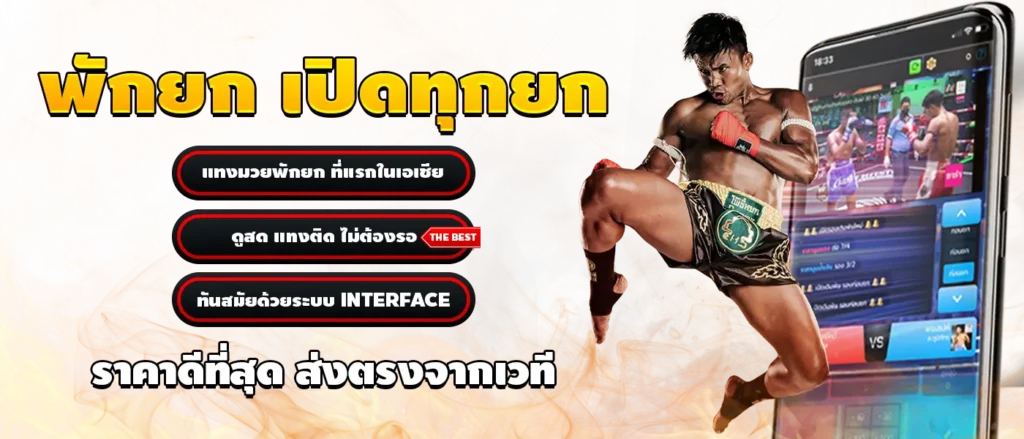 Tiger711 มวยพักยก เว็บดัง แทงมันทุกไฟต์ จ่ายไม่กั๊ก ถอนเร็ว ปก