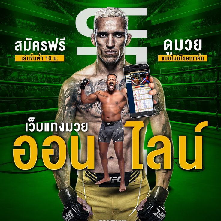 tiger711 มวยพักยก ดูมวยแบไม่มีโฆษณา